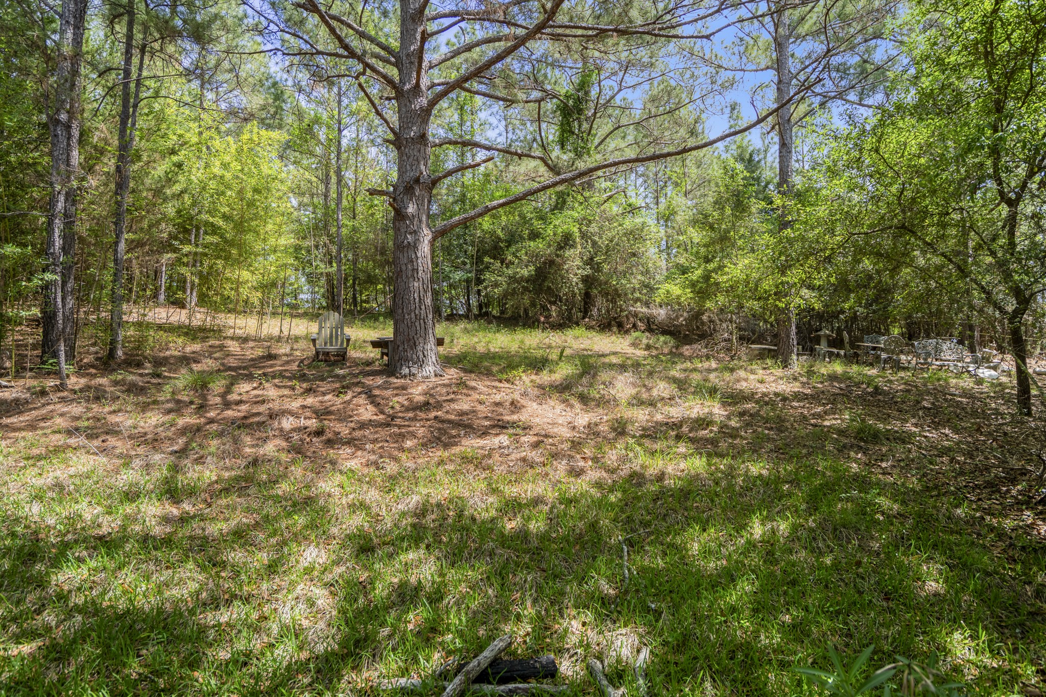22547 Bayview Circle Point Blank, TX 77364 - Photo 31 of 46 a fire hydrant in the middle of a field