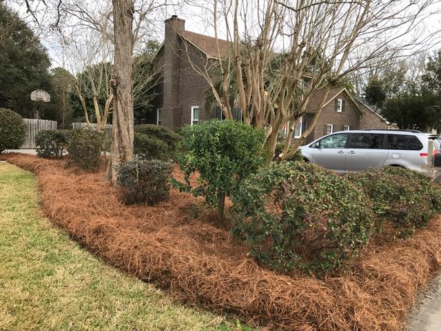 1917 Ashley Hall Road Charleston, SC 29407 - Photo 3 of 42 IMG_1885