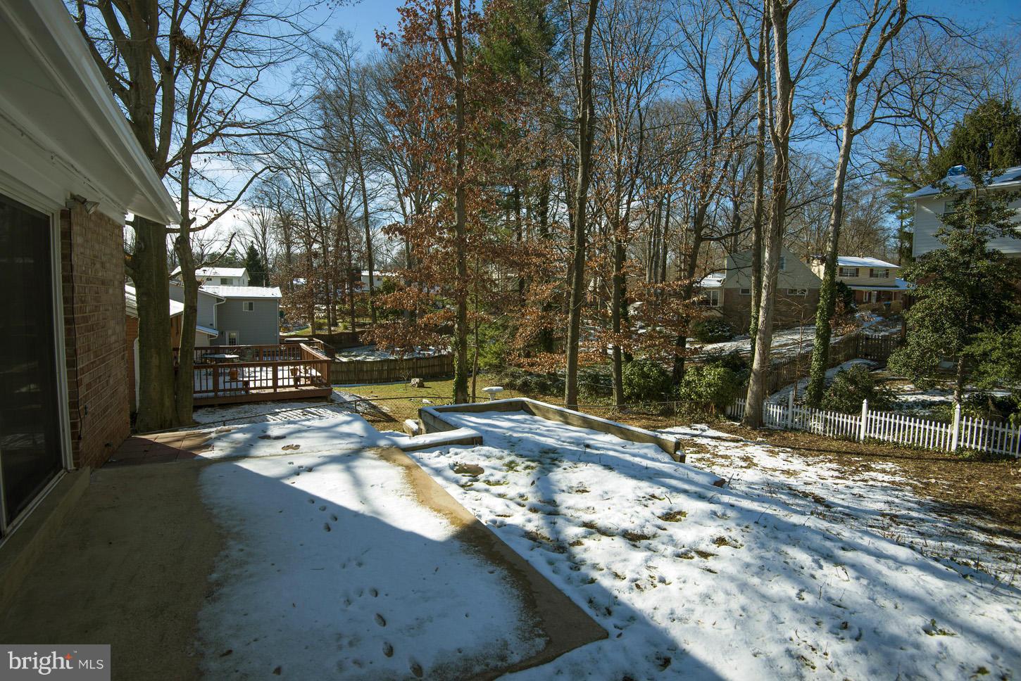5508 Margate Street Springfield, VA 22151 - Photo 26 of 27 a view of a yard with an tree