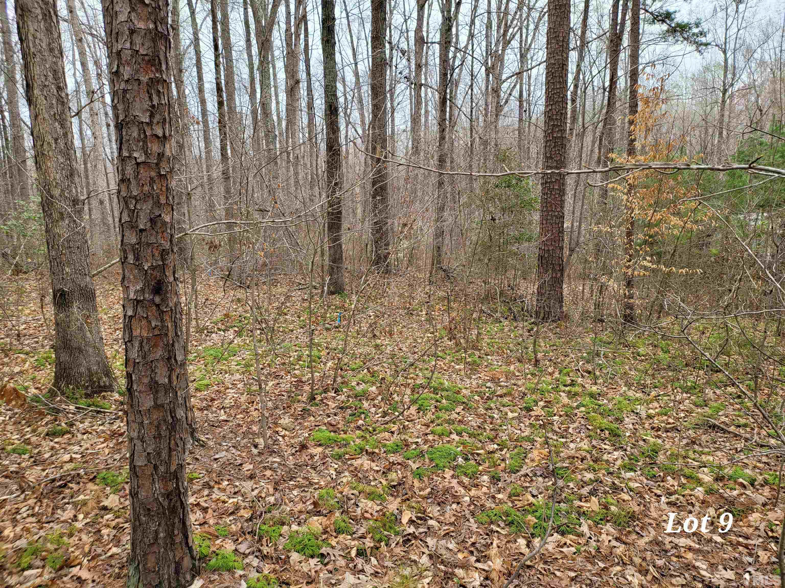 Lot 9 Loftis Loop Road Roxboro, NC 27574 - Photo 3 of 5