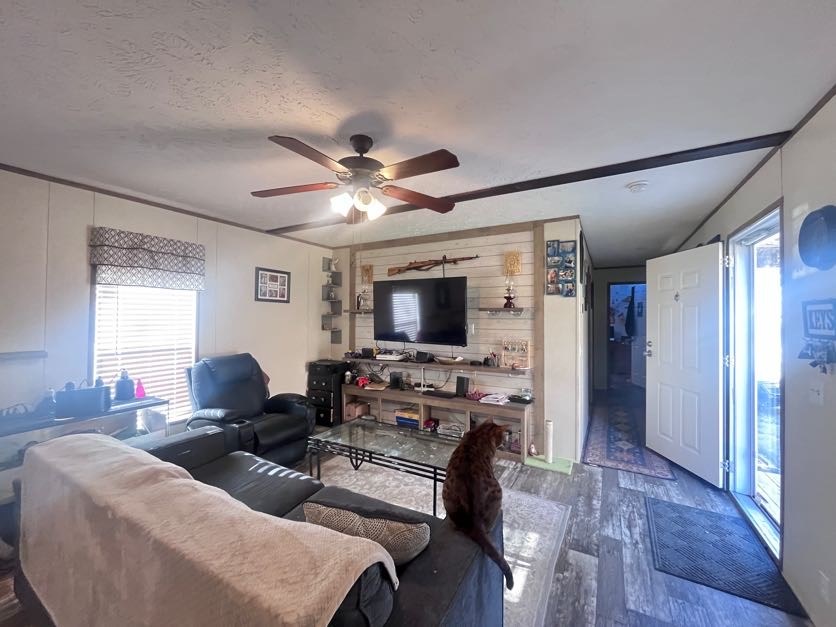 171 Tyler Road Ellijay, GA 30540 - Photo 5 of 27