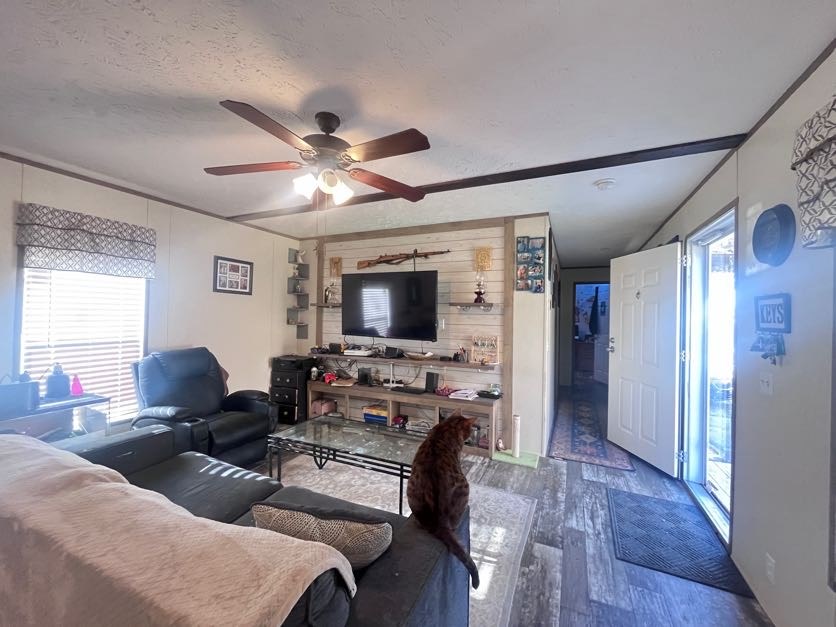 171 Tyler Road Ellijay, GA 30540 - Photo 6 of 27