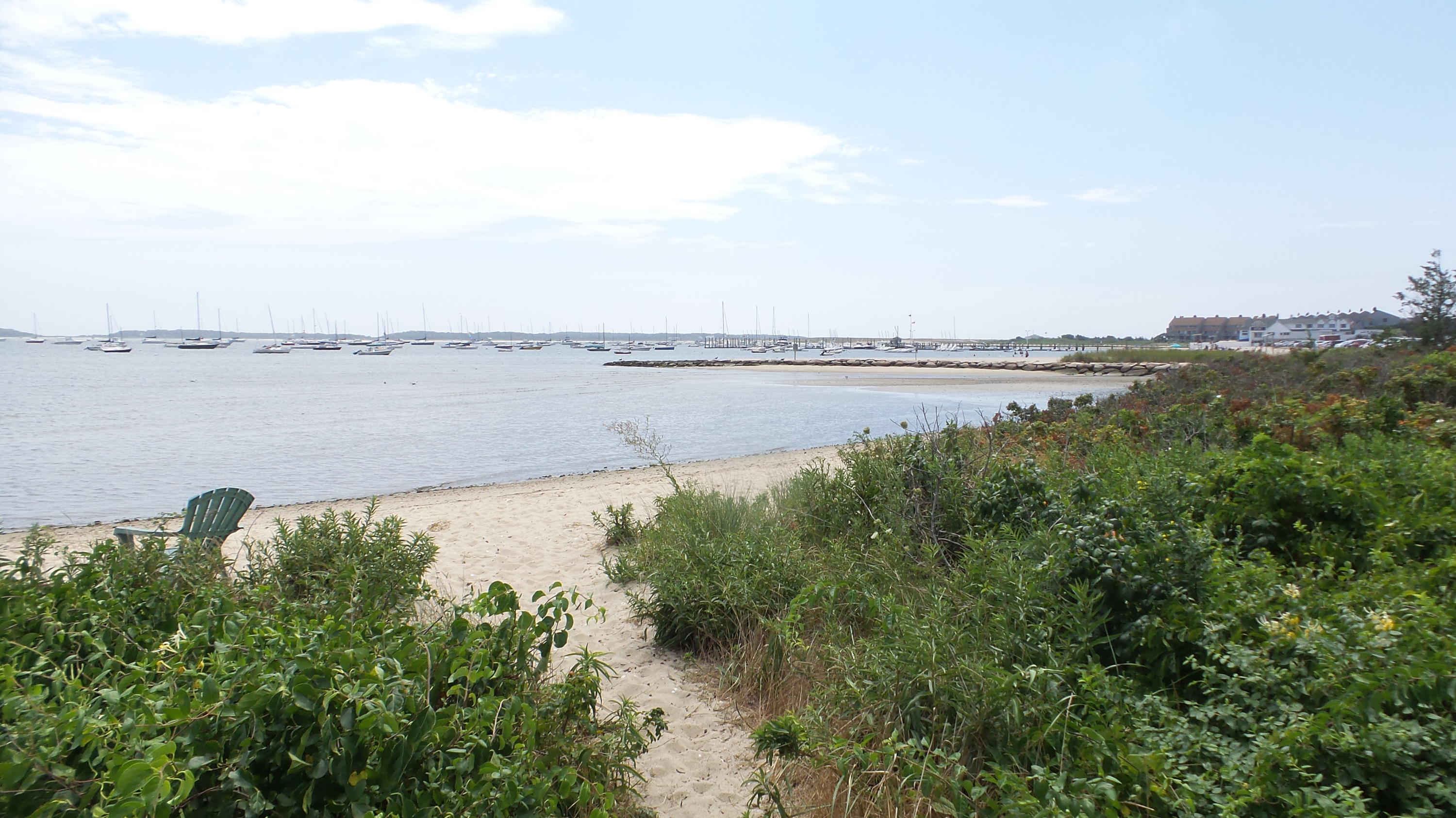 75 Harbor Bluff Road Hyannis, MA 02601 - Photo 28 of 31 a view of a lake from a yard