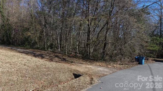 a view of a yard with a tree