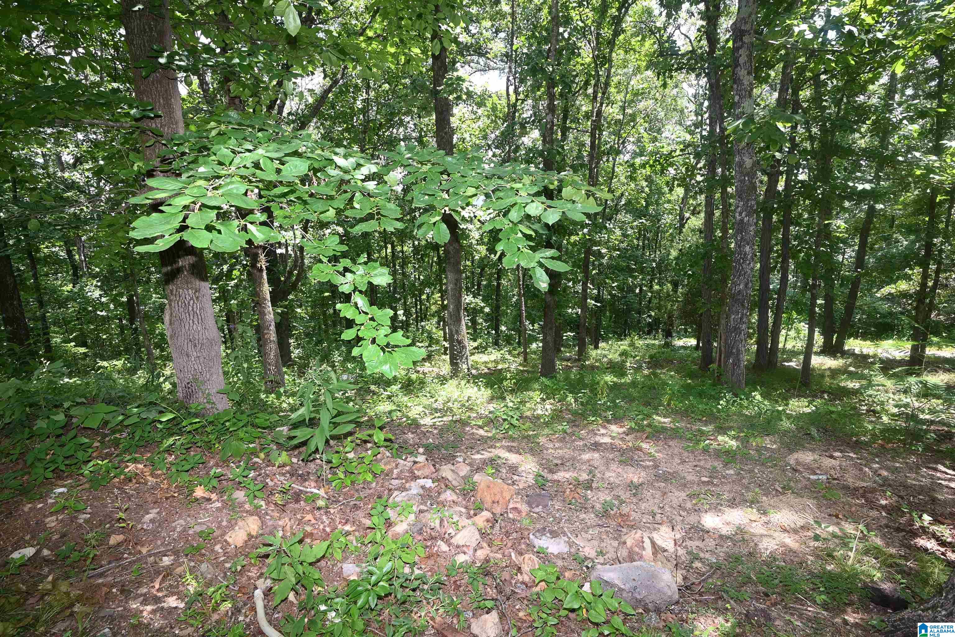 347 Field Road Anniston, AL 36207 - Photo 31 of 36