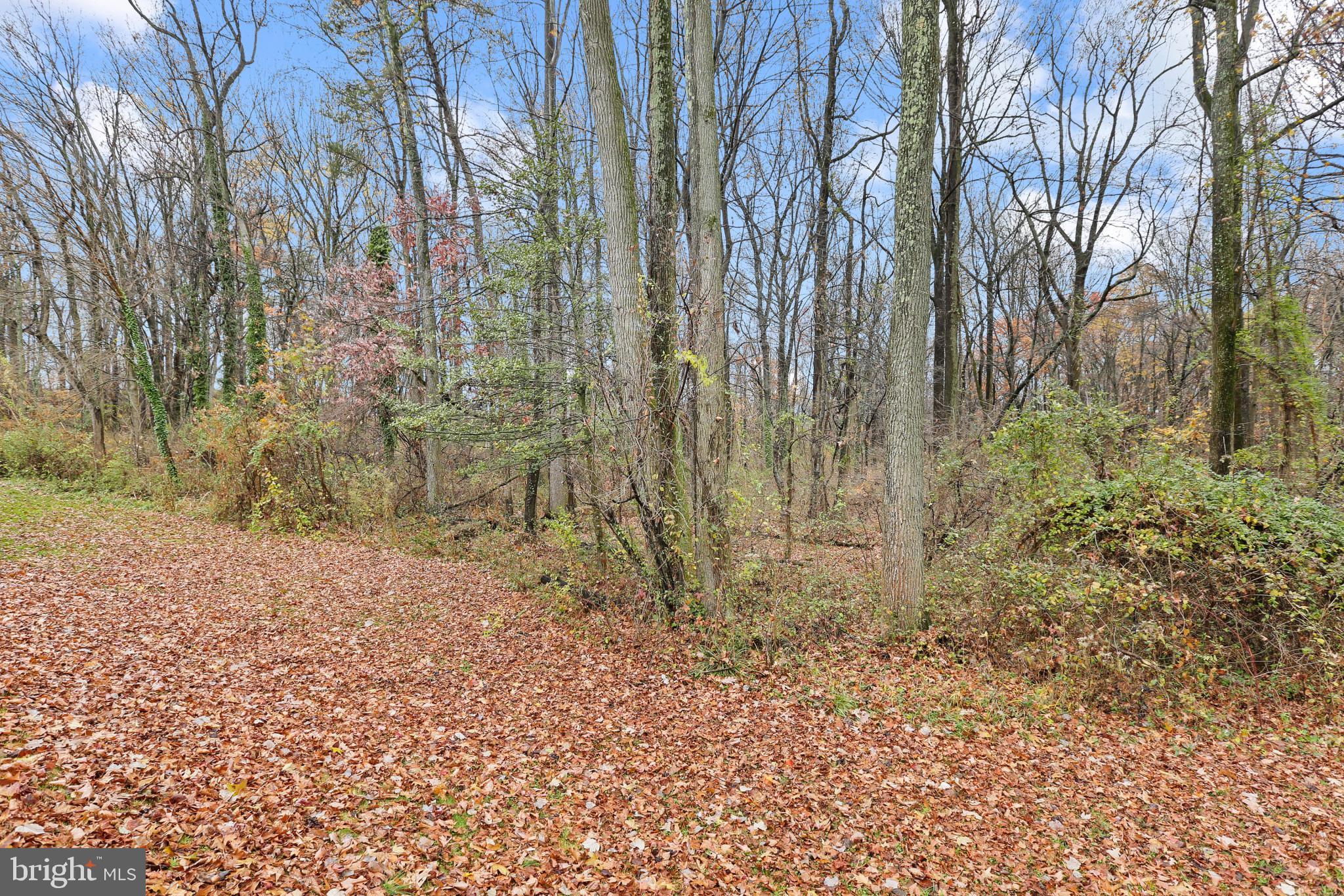 7621 Wilhelm Avenue Rosedale, MD 21237 - Photo 62 of 63 Gallery Image 62