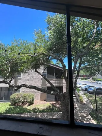 a picture of a yard