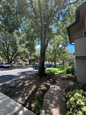 a view of a tree in the middle of a garden