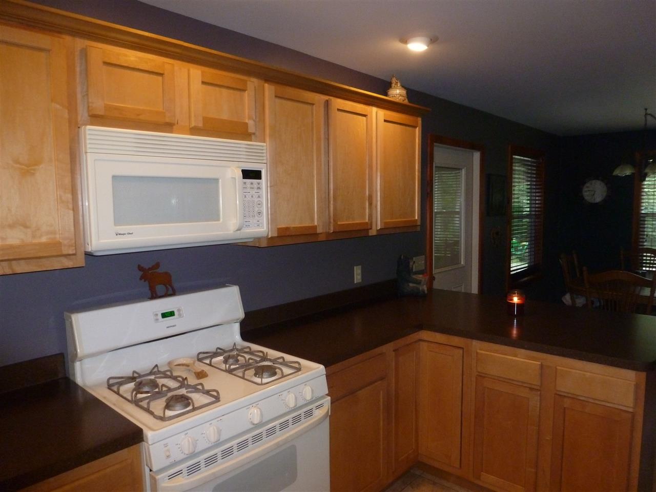 7780 Flynn Road Mancelona, MI 49659 - Photo 17 of 30 1877153-17.JPG