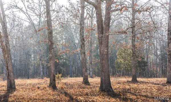 $725,000 | 3490 County Road 6220, Salem, MO 65560