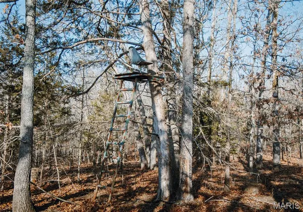 $725,000 | 3490 County Road 6220, Salem, MO 65560