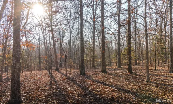 $725,000 | 3490 County Road 6220, Salem, MO 65560