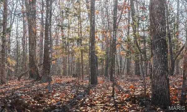 $725,000 | 3490 County Road 6220, Salem, MO 65560