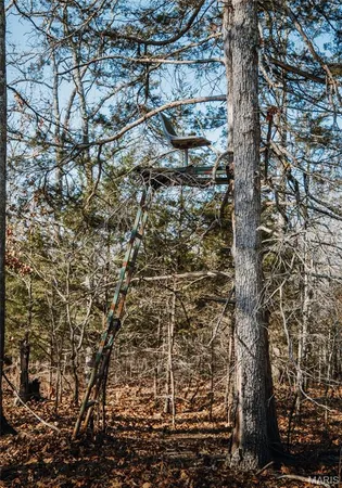 $675,000 | 3490 County Road 6220, Salem, MO 65560