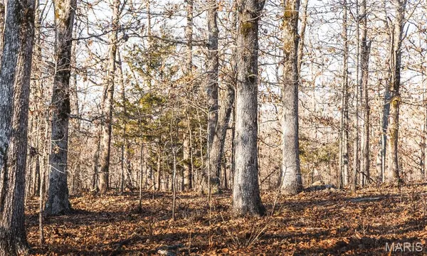 $675,000 | 3490 County Road 6220, Salem, MO 65560