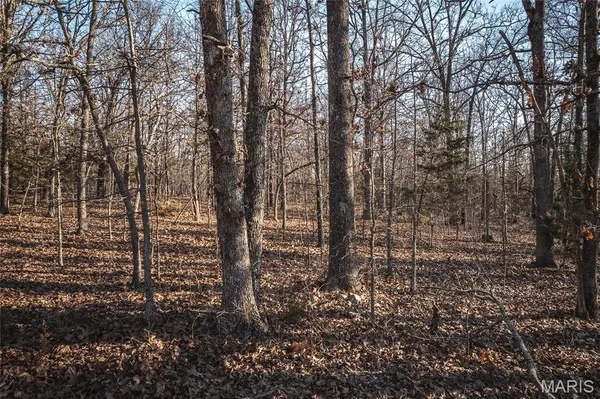 $675,000 | 3490 County Road 6220, Salem, MO 65560