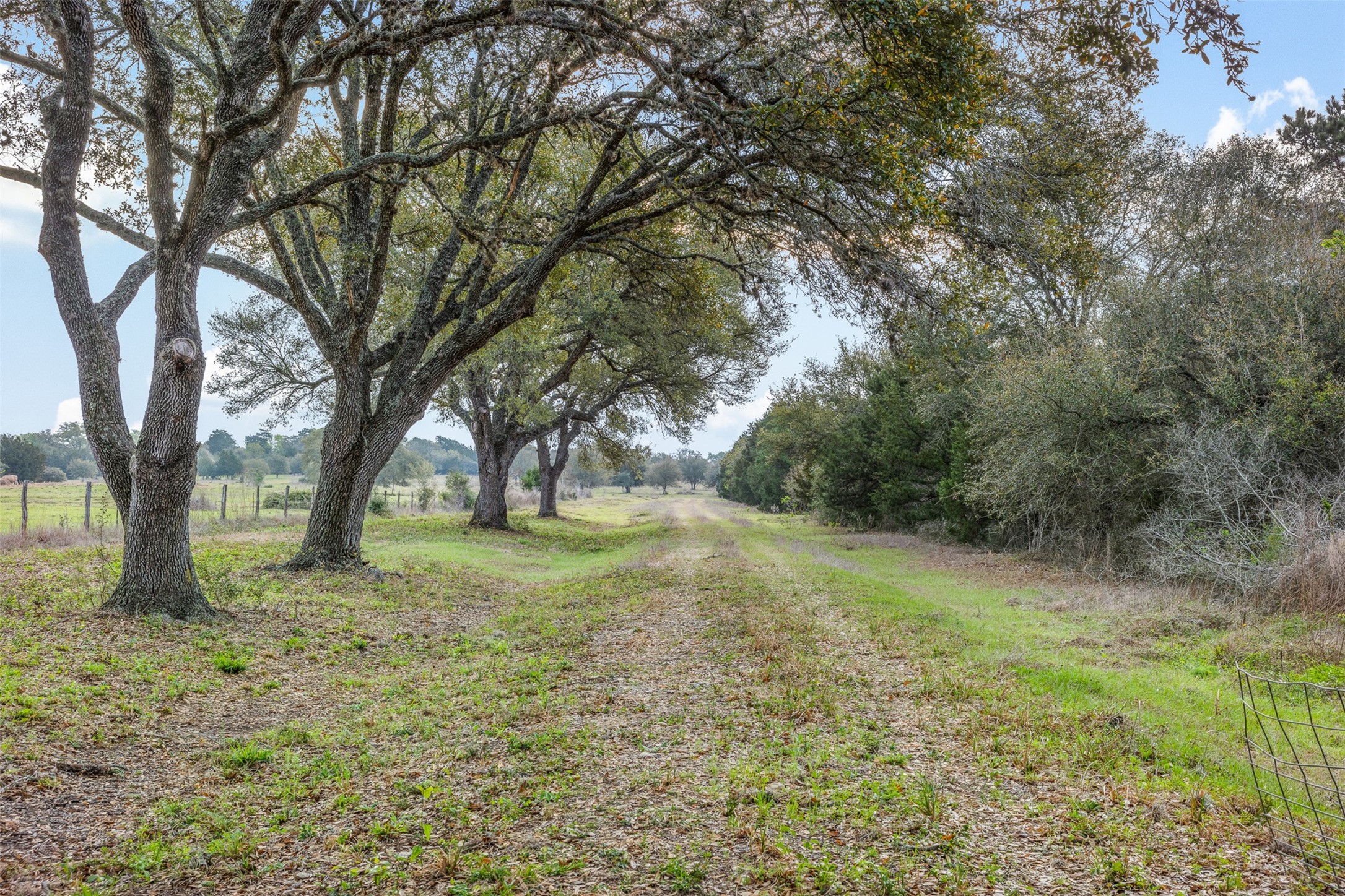 1017 New Ulm Road Cat Spring, TX 78933 - Photo 5 of 25