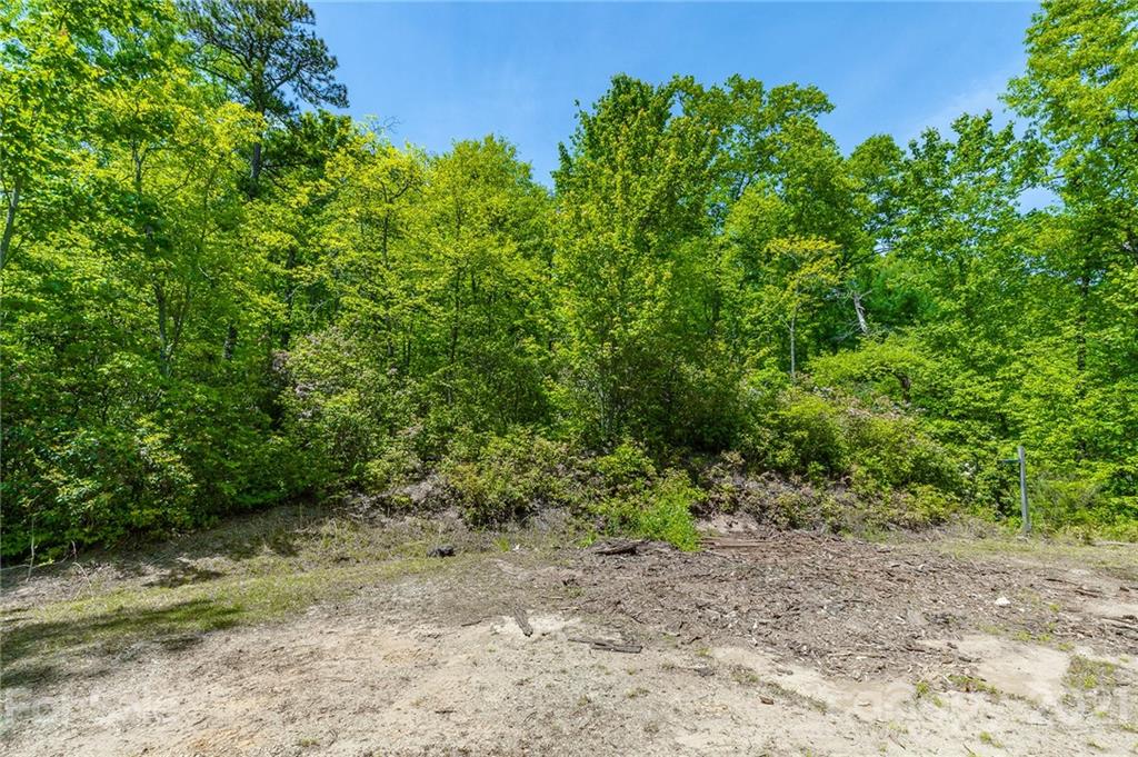 310 Jeffy Passmore Road Brevard, NC 28712 - Photo 41 of 44 Gallery Image 41
