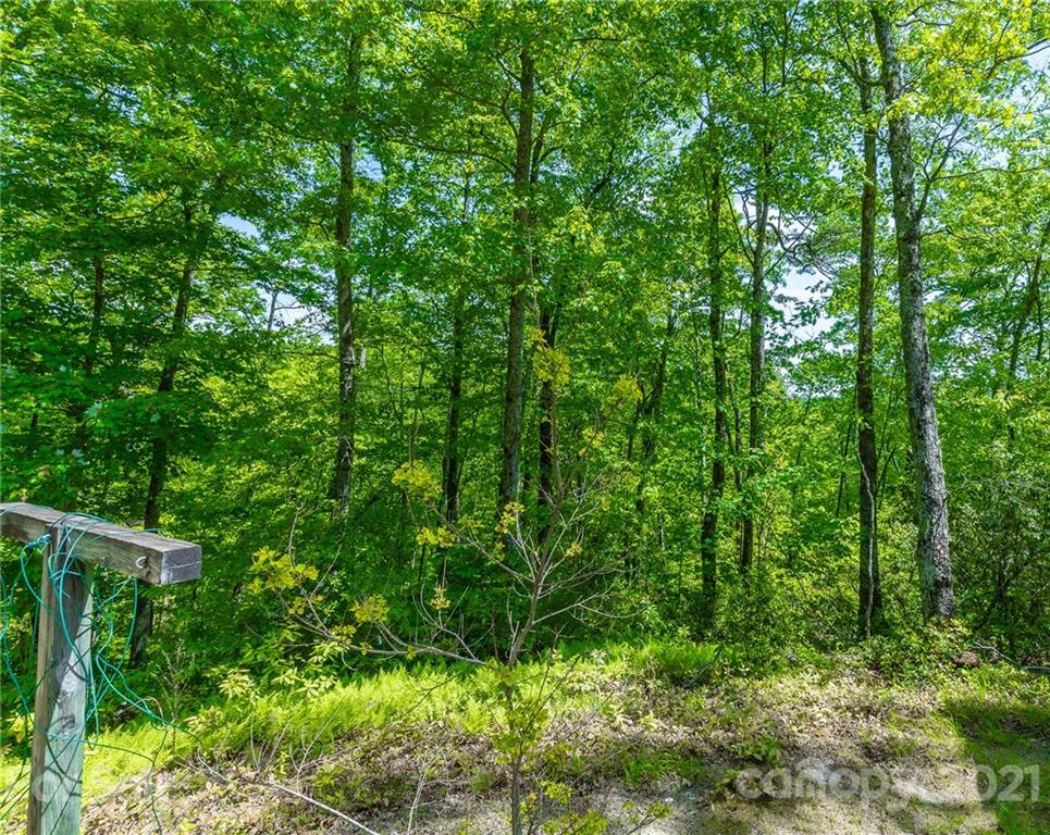 310 Jeffy Passmore Road Brevard, NC 28712 - Photo 42 of 44 Gallery Image 42