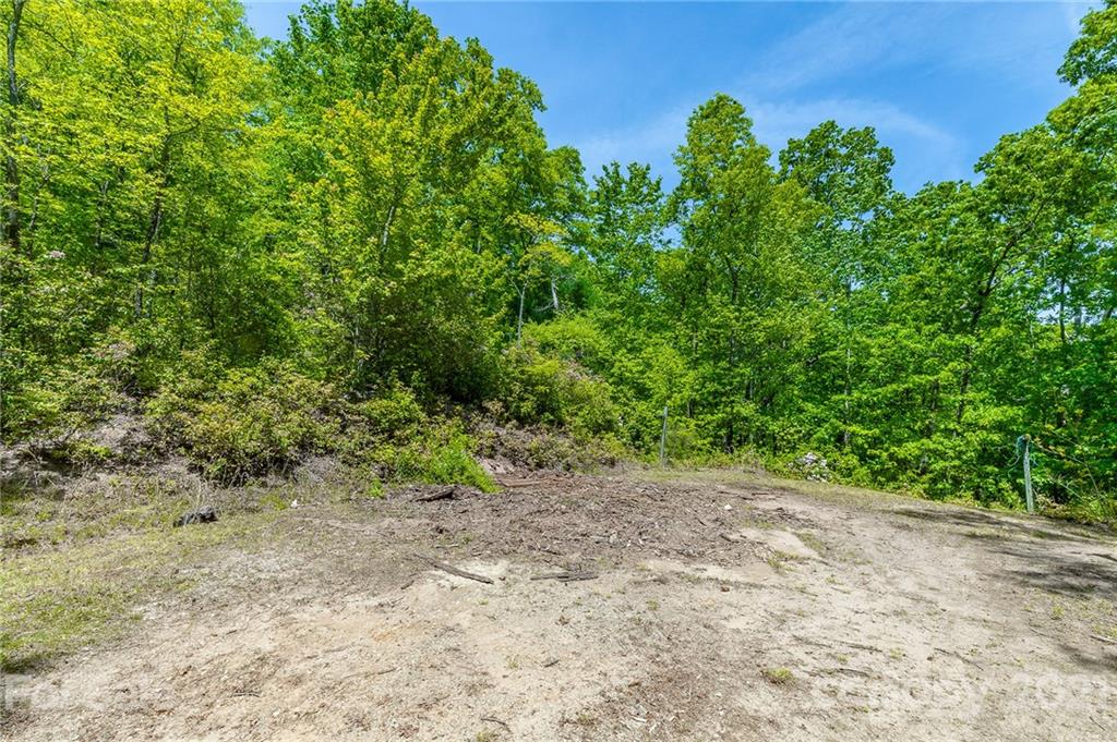 310 Jeffy Passmore Road Brevard, NC 28712 - Photo 43 of 44 Gallery Image 43