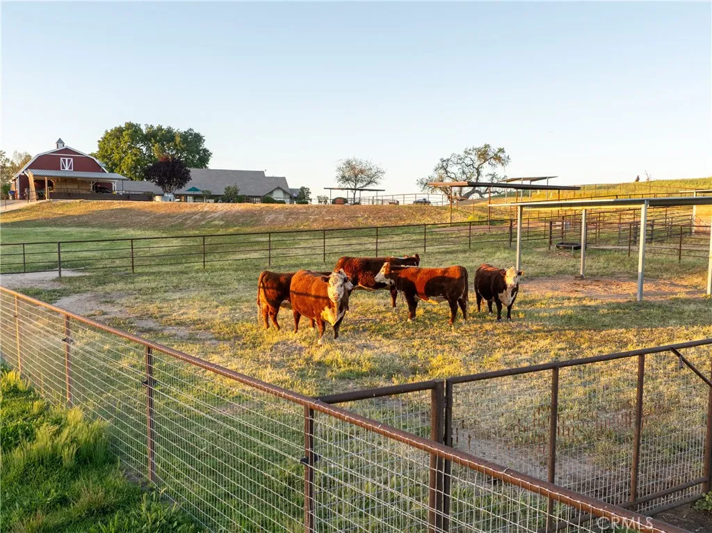 5385 Camp 8 Road Paso Robles, CA 93446 - Photo 66 of 75