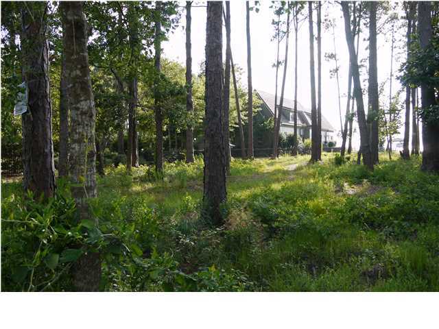 4 D Driftwood Point Road Santa Rosa Beach, FL 32459 - Photo 3 of 9 a open area with trees