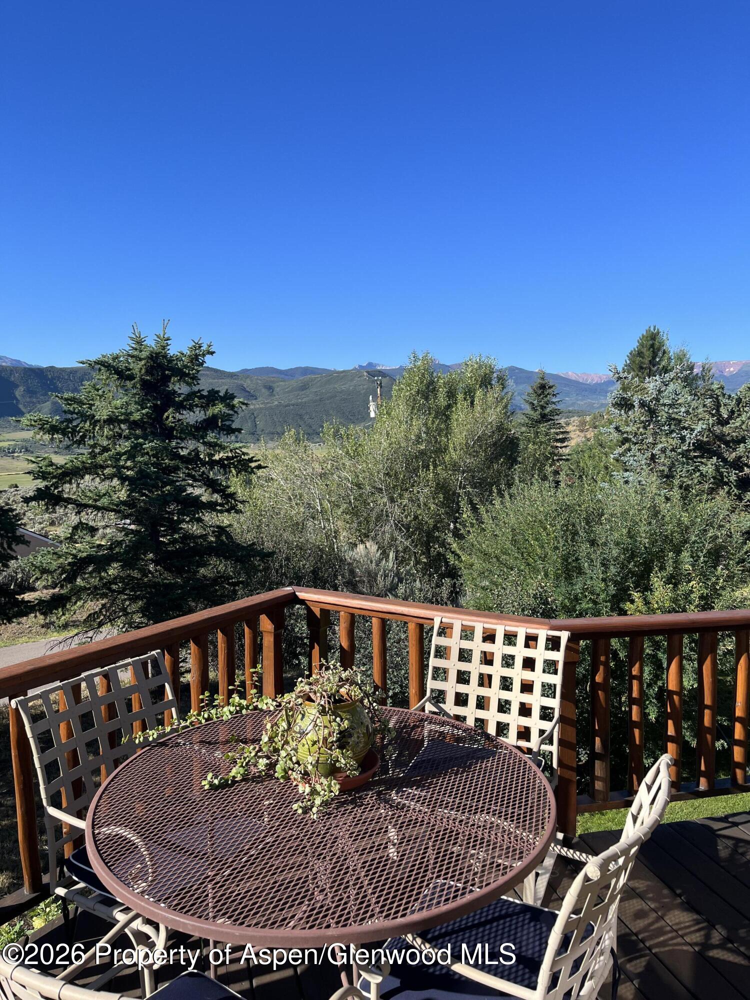 234 Light Hill Road Snowmass, CO 81654 - Photo 23 of 29 IMG_2534 (1) (2)