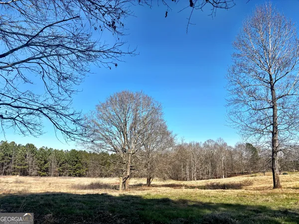$195,000 | 0 Torbet Road, Forsyth, GA 31029