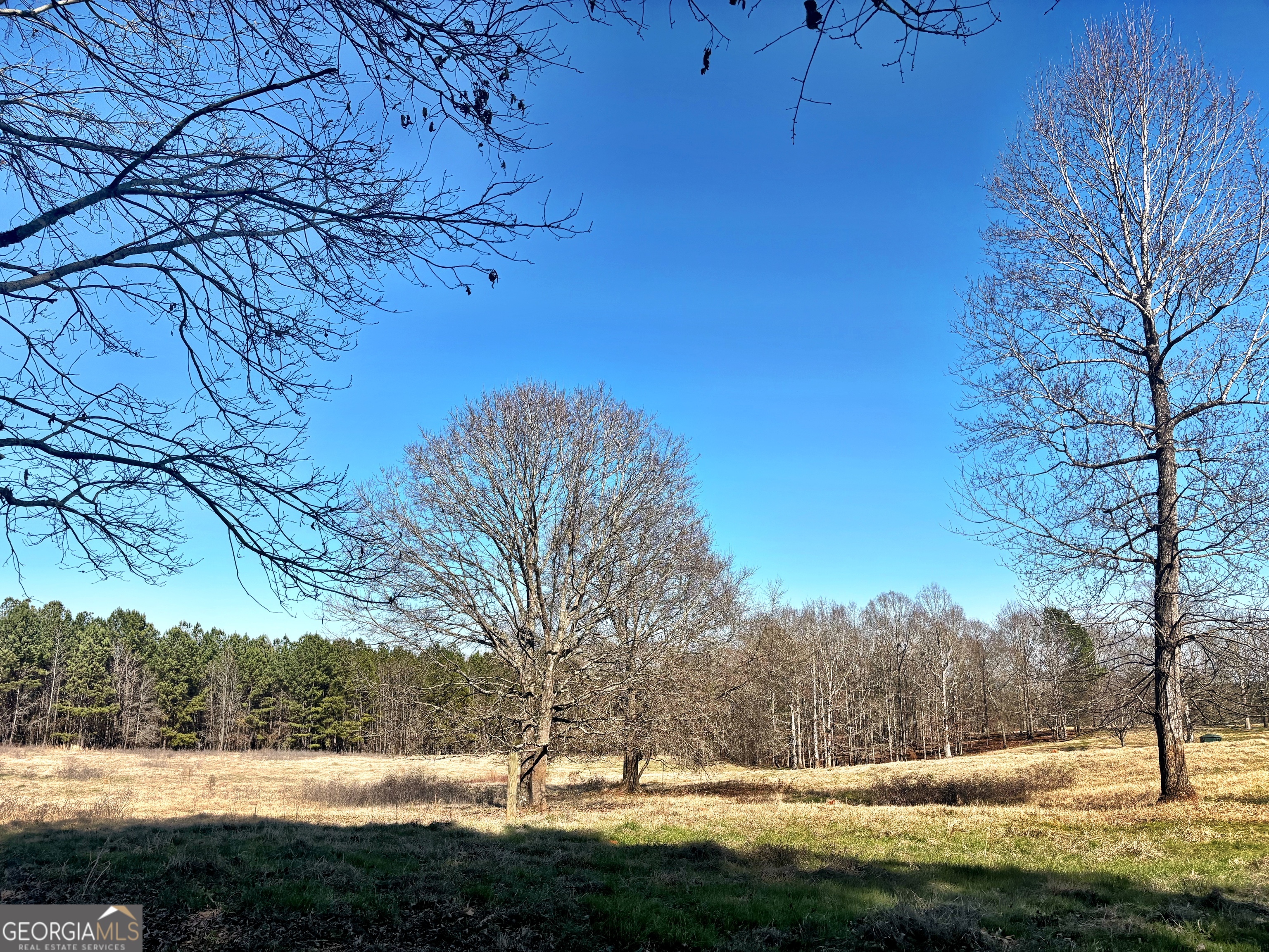 0 Torbet Road Forsyth, GA 31029 - Photo 1 of 13