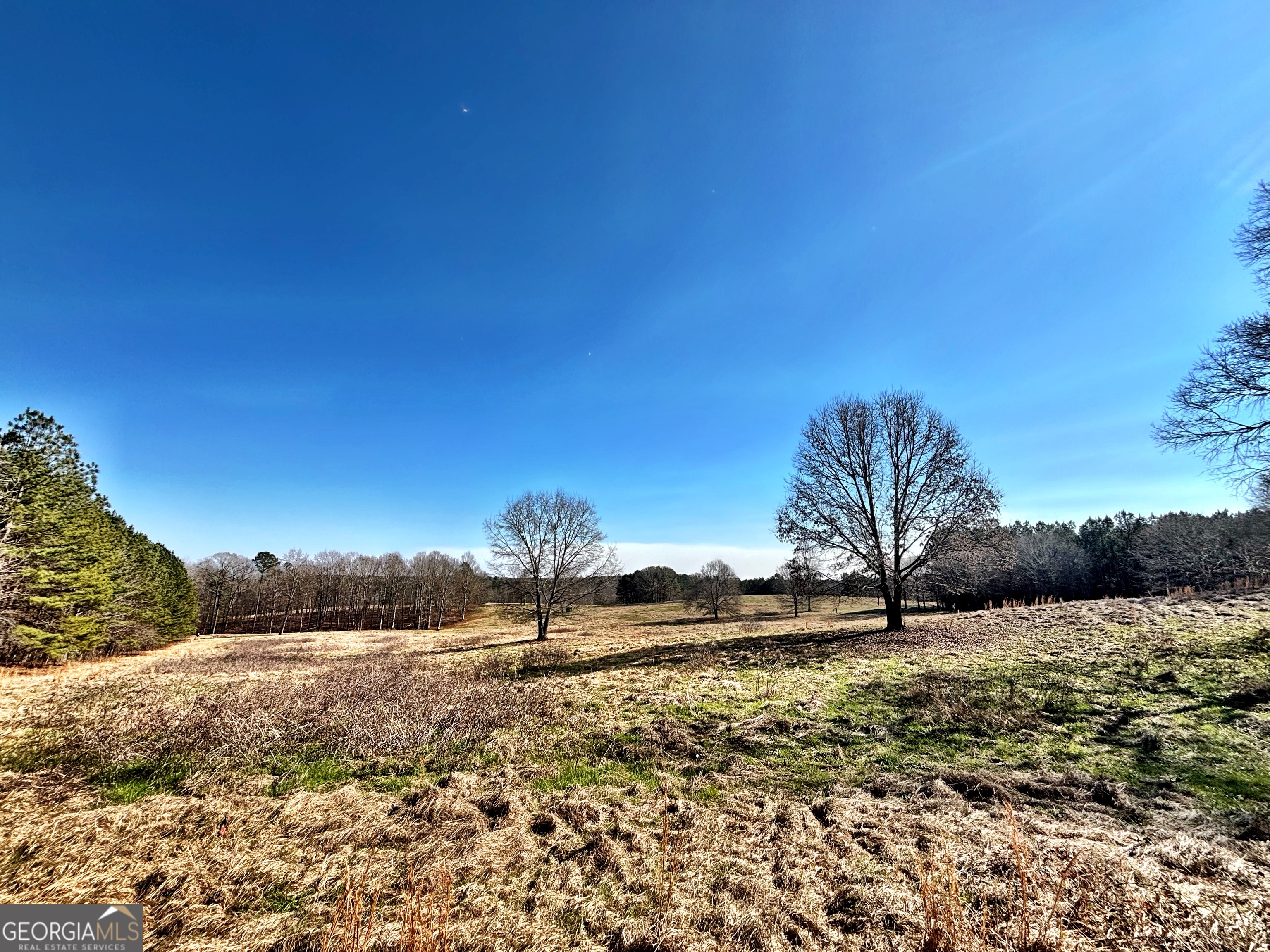 0 Torbet Road Forsyth, GA 31029 - Photo 11 of 13
