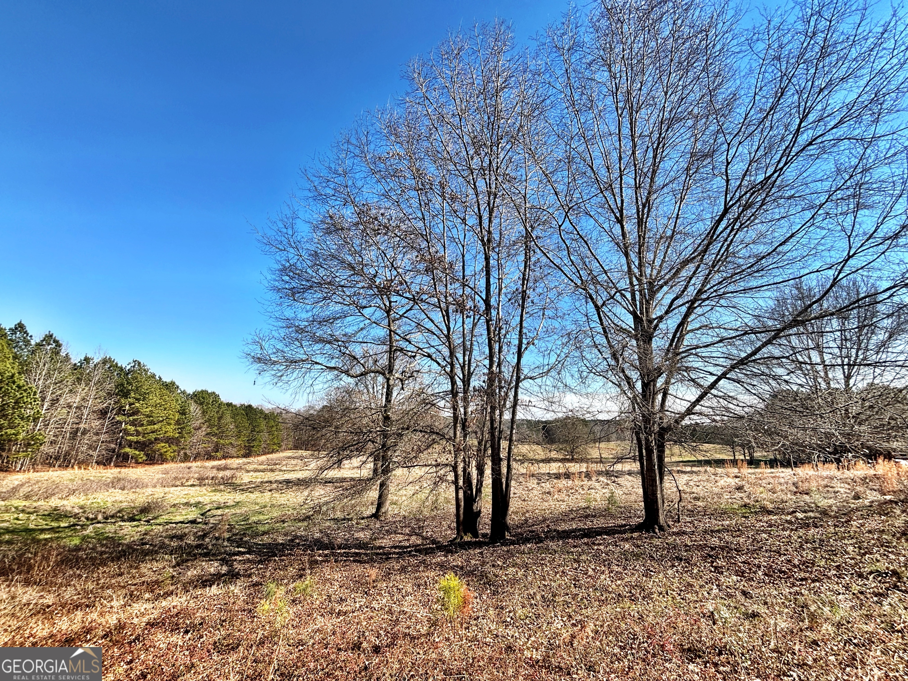 0 Torbet Road Forsyth, GA 31029 - Photo 12 of 13