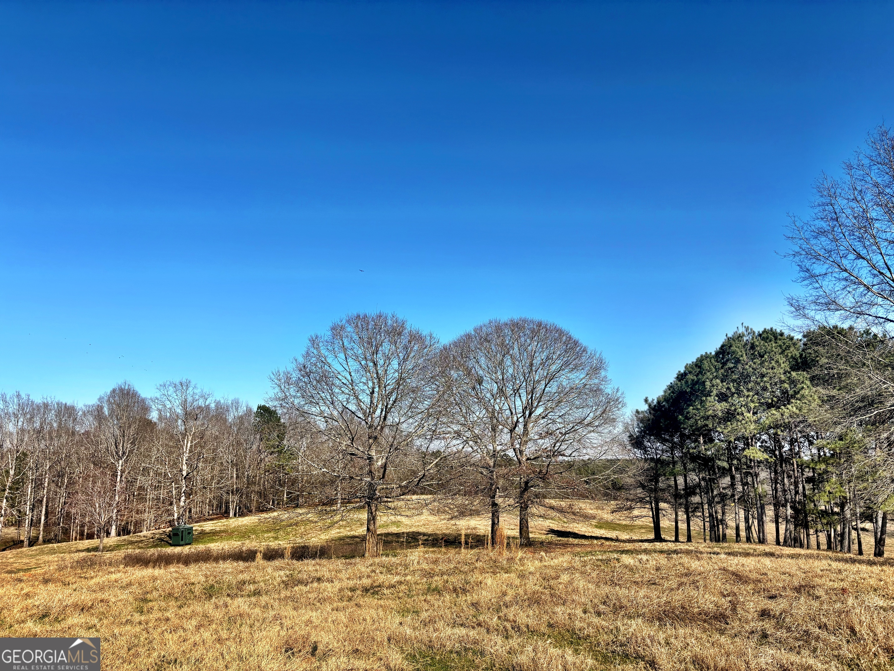 0 Torbet Road Forsyth, GA 31029 - Photo 2 of 13
