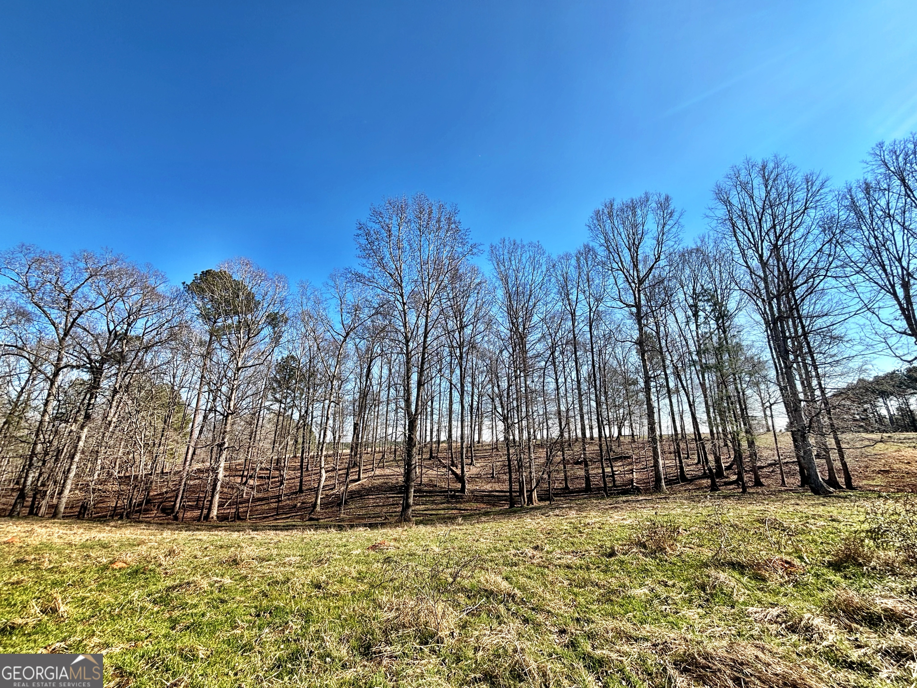 0 Torbet Road Forsyth, GA 31029 - Photo 3 of 13
