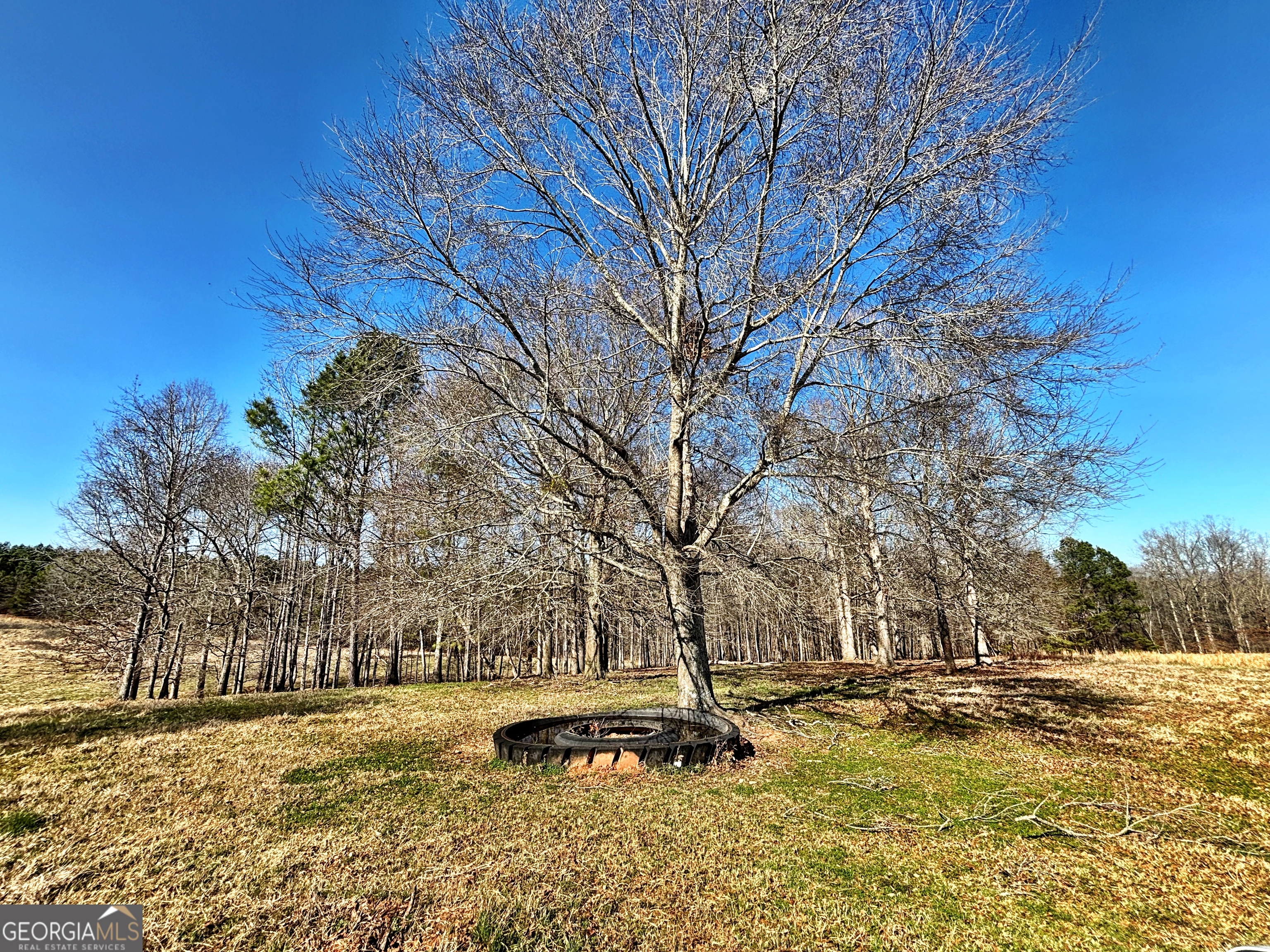 0 Torbet Road Forsyth, GA 31029 - Photo 4 of 13
