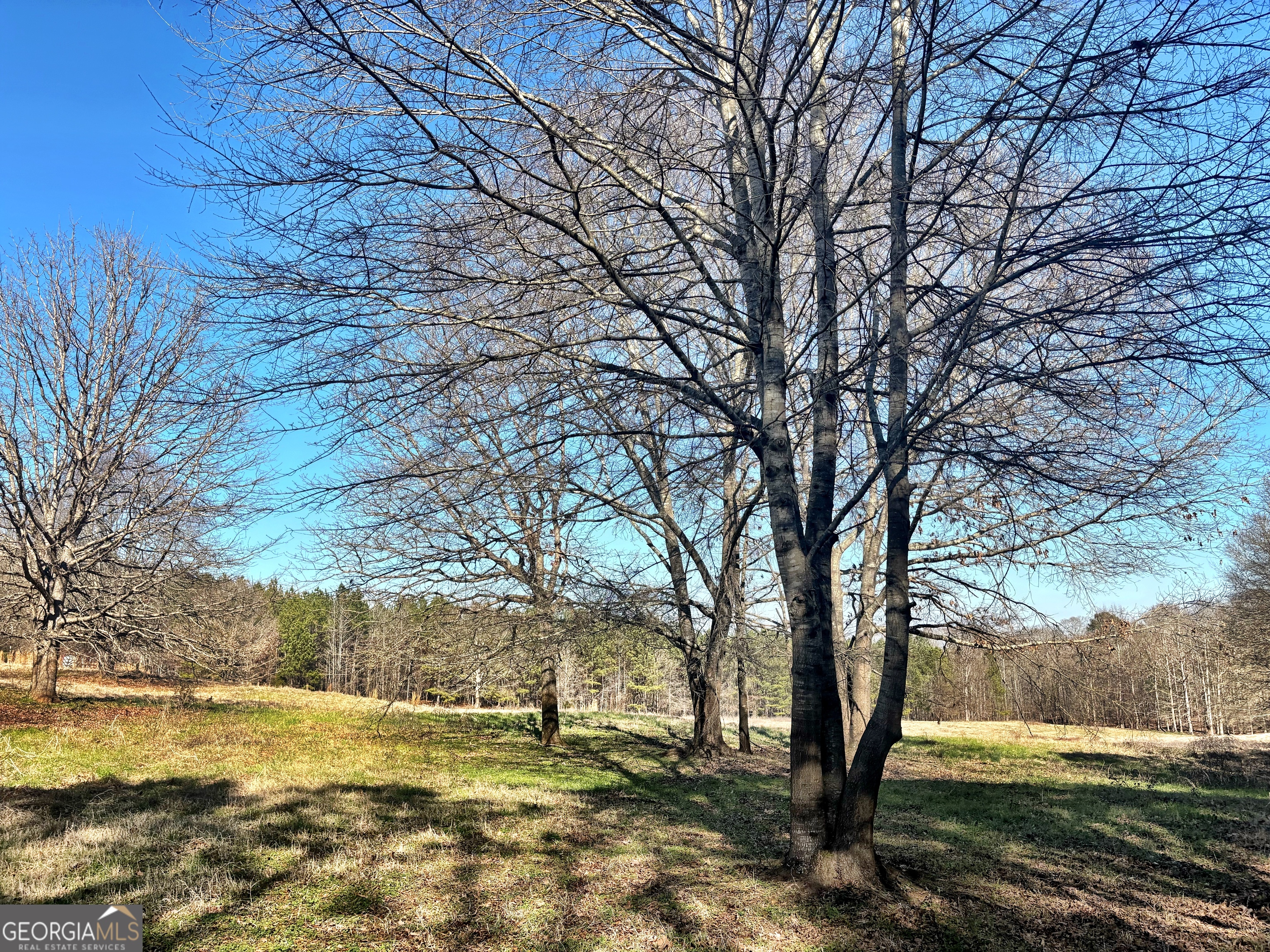 0 Torbet Road Forsyth, GA 31029 - Photo 5 of 13