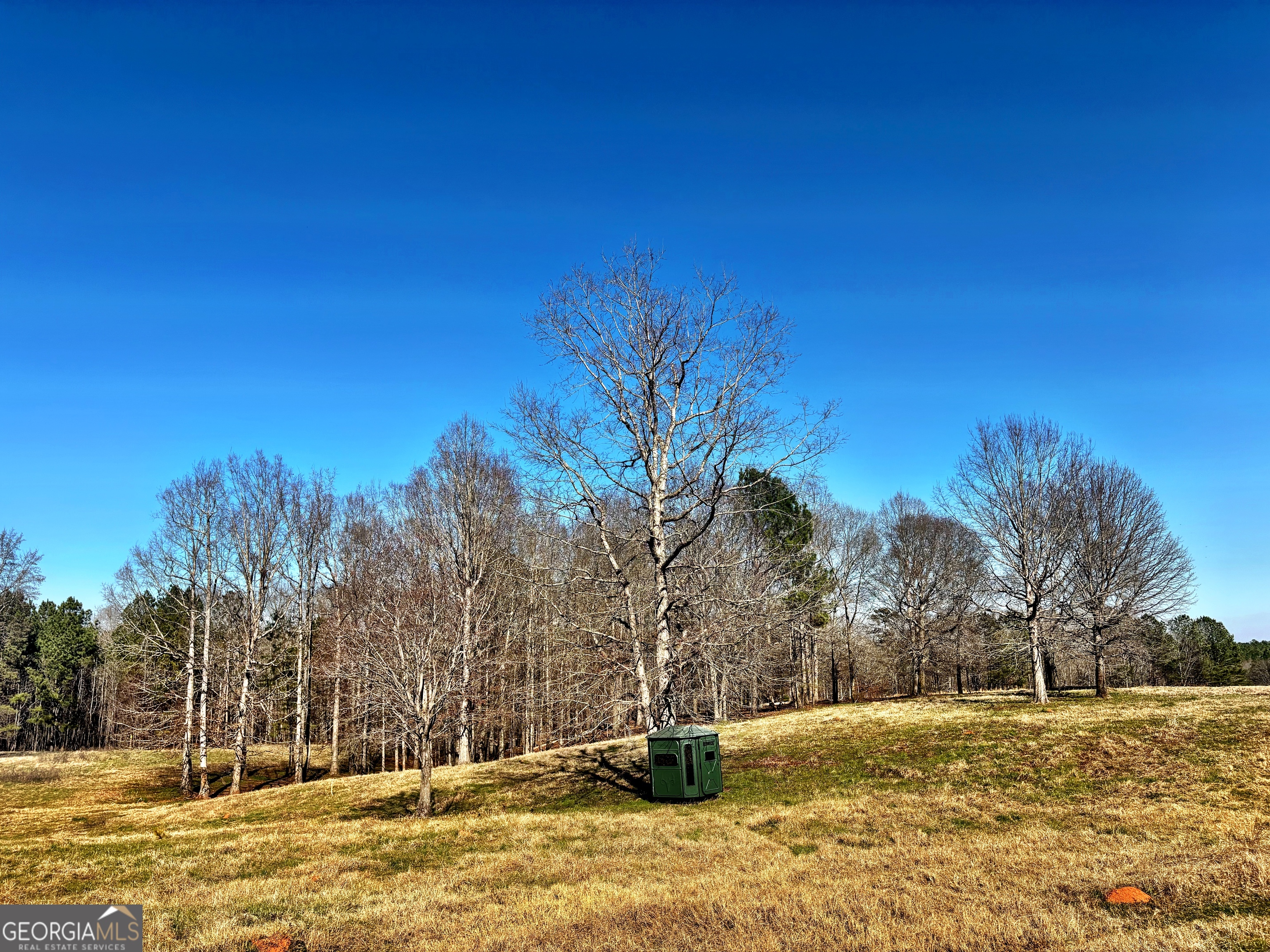0 Torbet Road Forsyth, GA 31029 - Photo 6 of 13