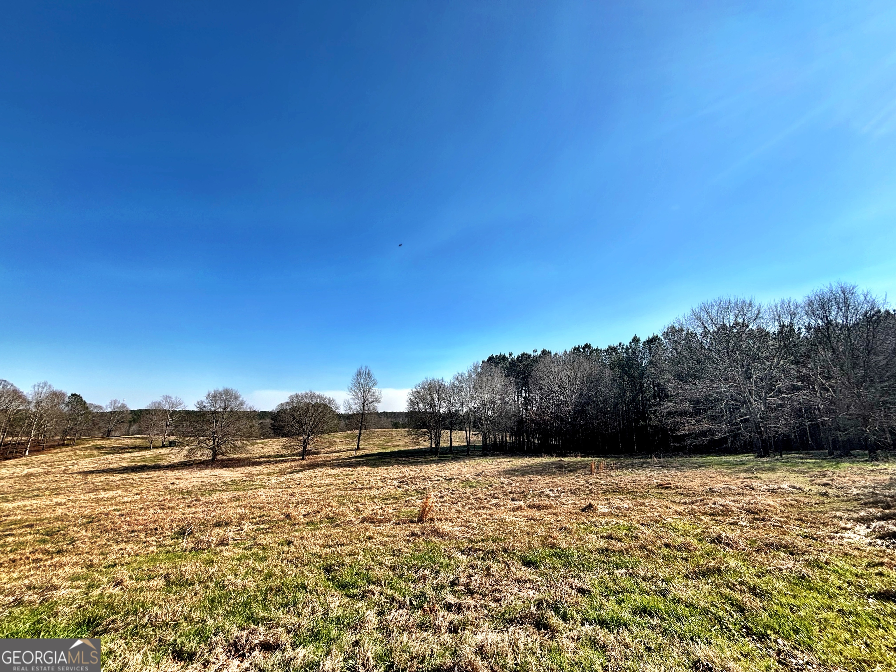 0 Torbet Road Forsyth, GA 31029 - Photo 8 of 13