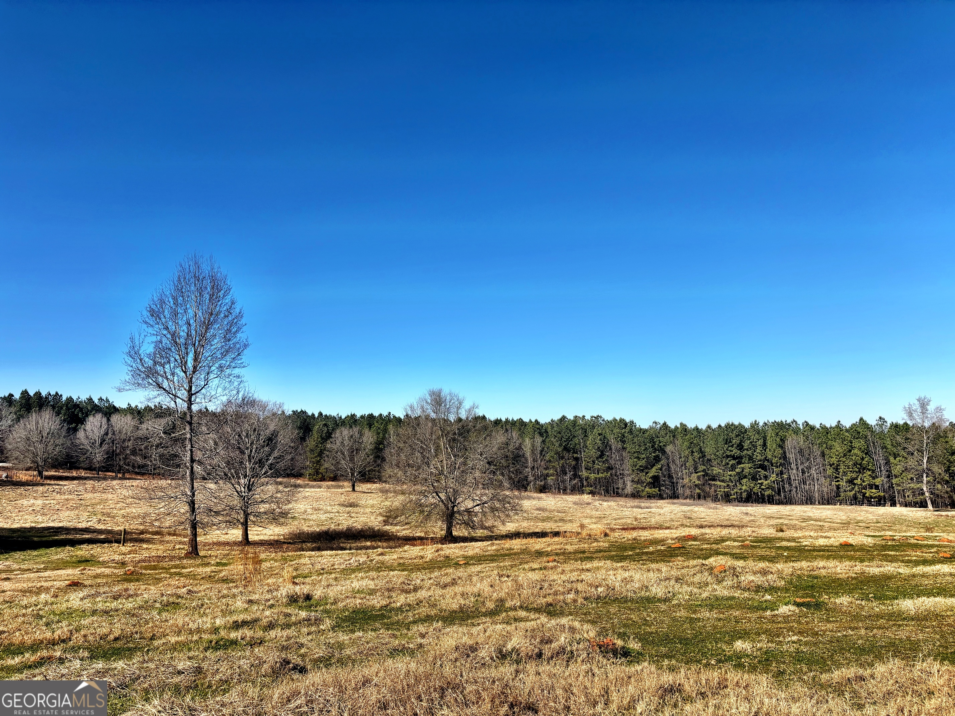0 Torbet Road Forsyth, GA 31029 - Photo 9 of 13