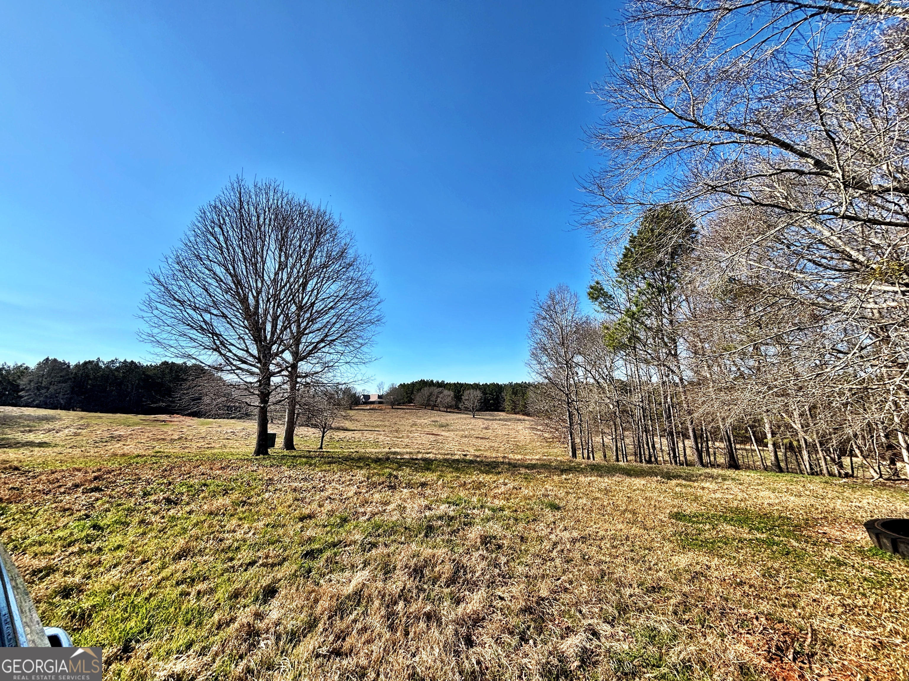 0 Torbet Road Forsyth, GA 31029 - Photo 10 of 13