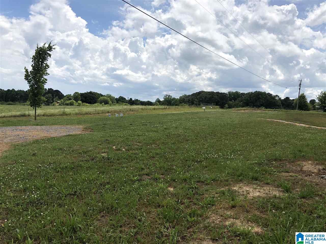 140 County Road 773 Cullman, AL 35055 - Photo 19 of 19