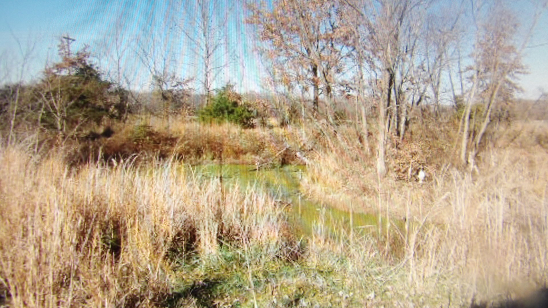 465 Tipple Road Carrier Mills, IL 62917 - Photo 11 of 12