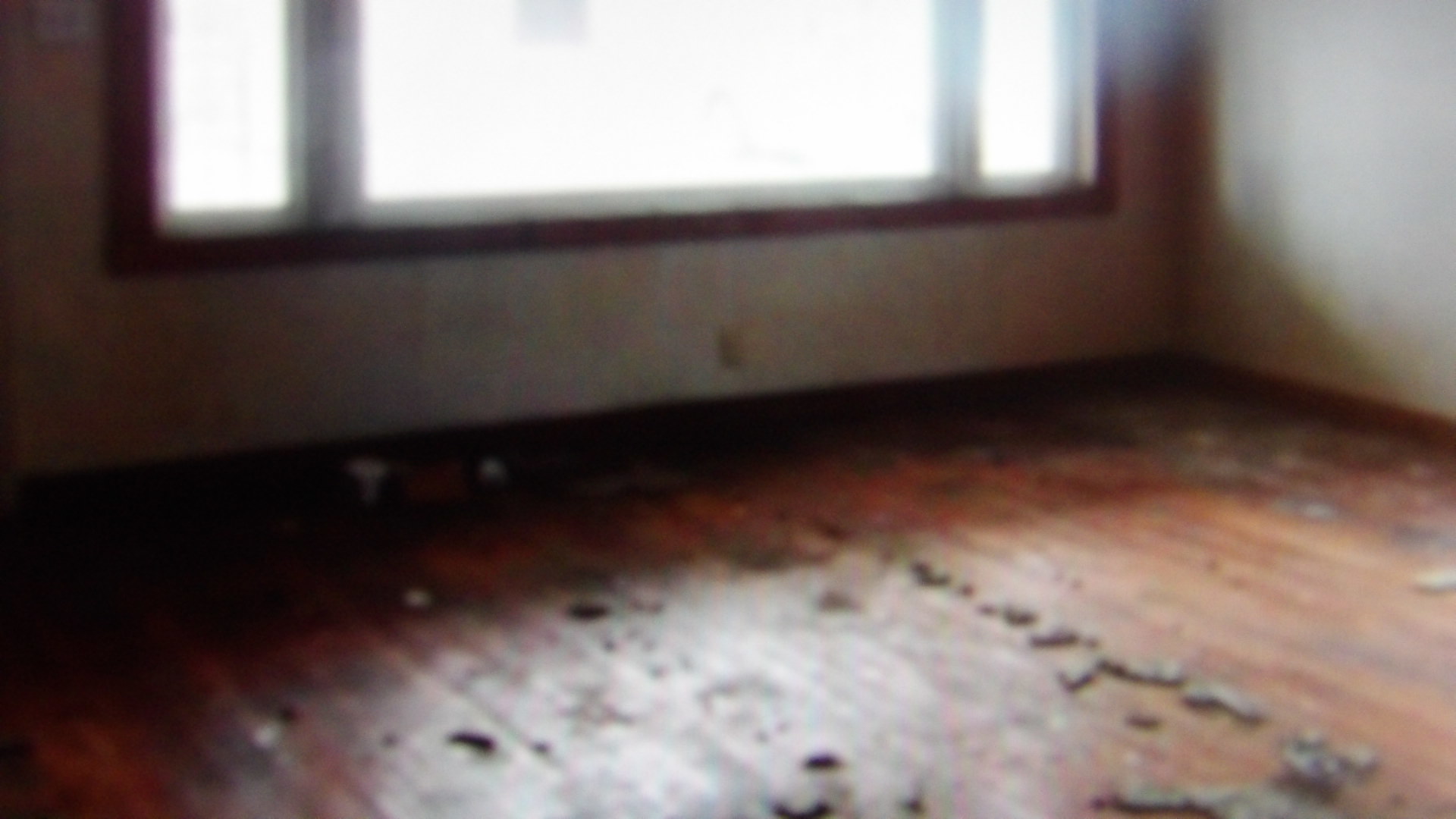 465 Tipple Road Carrier Mills, IL 62917 - Photo 2 of 12