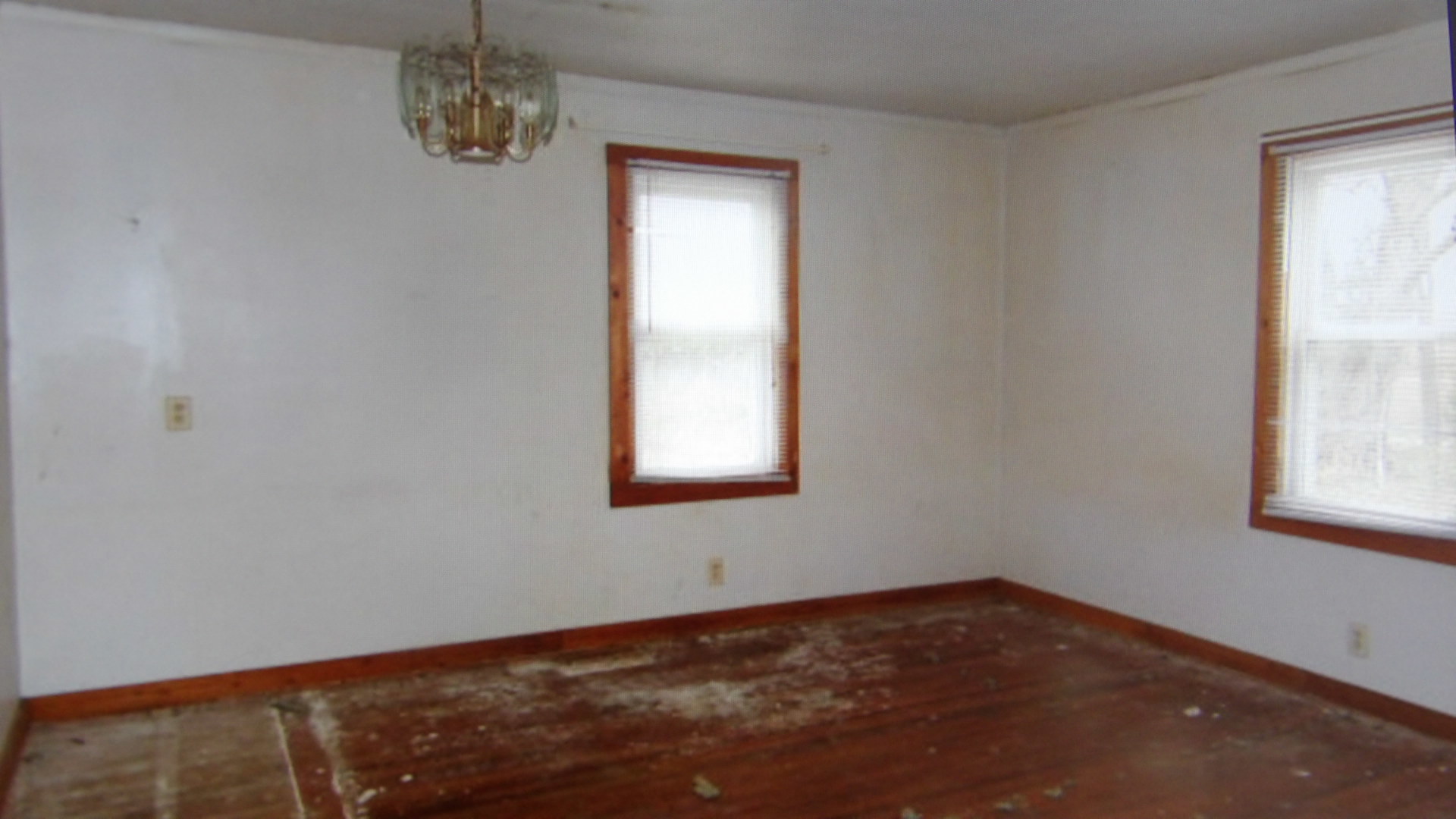 465 Tipple Road Carrier Mills, IL 62917 - Photo 5 of 12