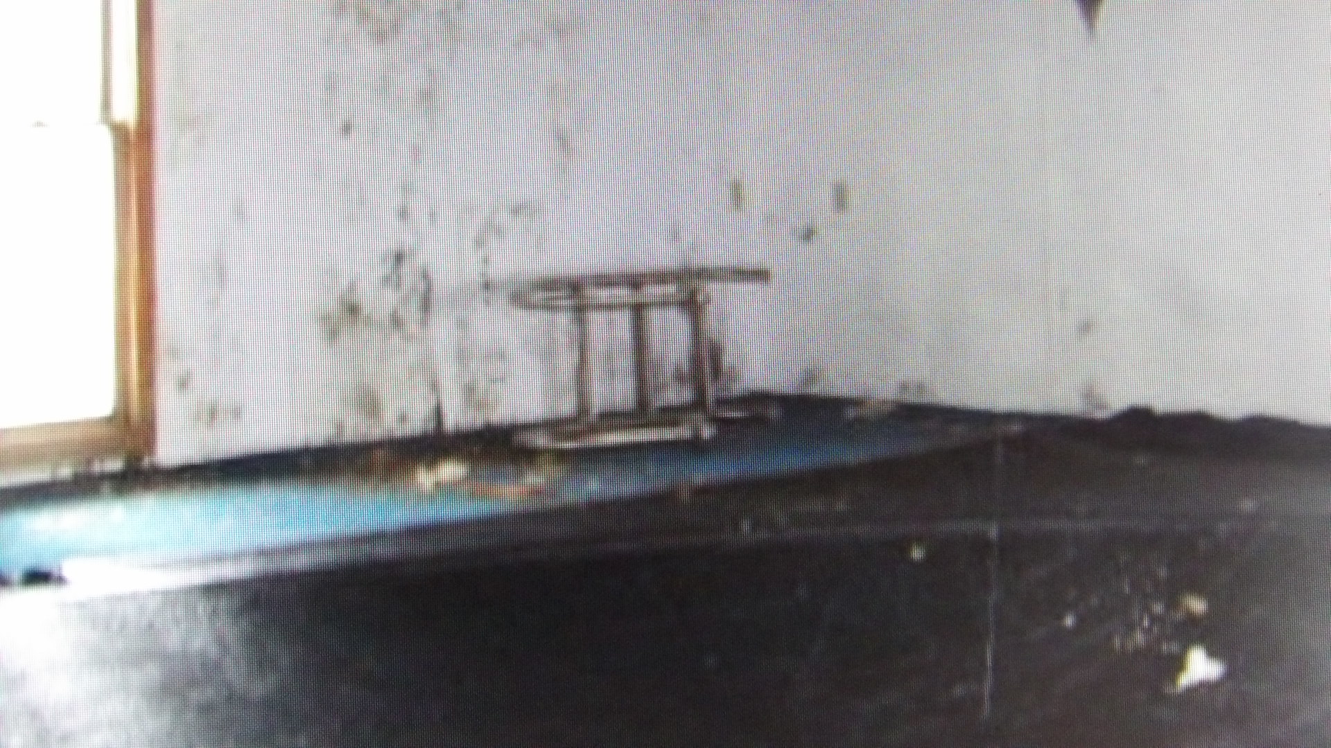 465 Tipple Road Carrier Mills, IL 62917 - Photo 7 of 12