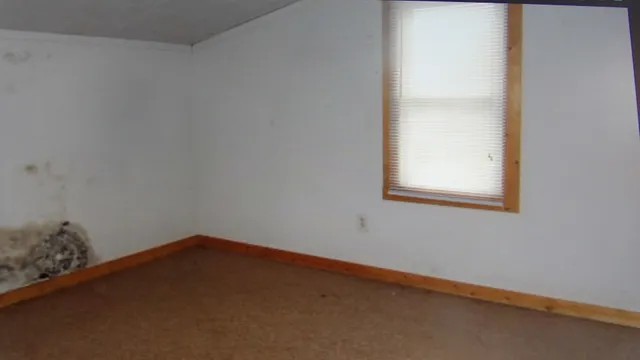 $29,000 | 465 Tipple Road, Carrier Mills, IL 62917