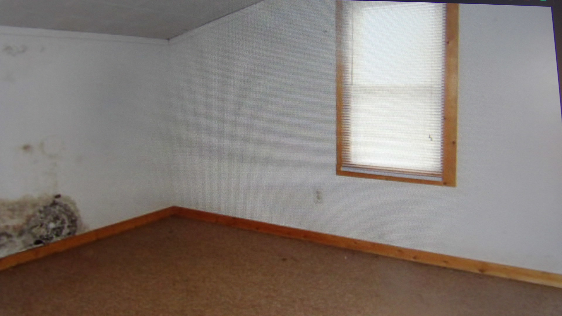 465 Tipple Road Carrier Mills, IL 62917 - Photo 9 of 12