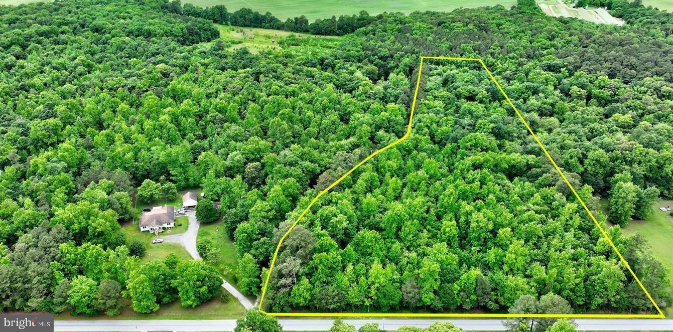 Lot A Dillards Road Seaford, DE 19973 - Photo 7 of 8 a view of a lush green yard