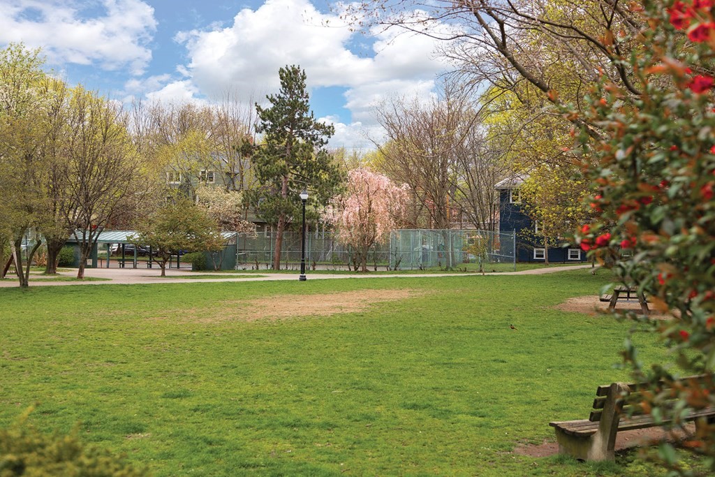 62 Russell Street Brookline, MA 02446 - Photo 23 of 23