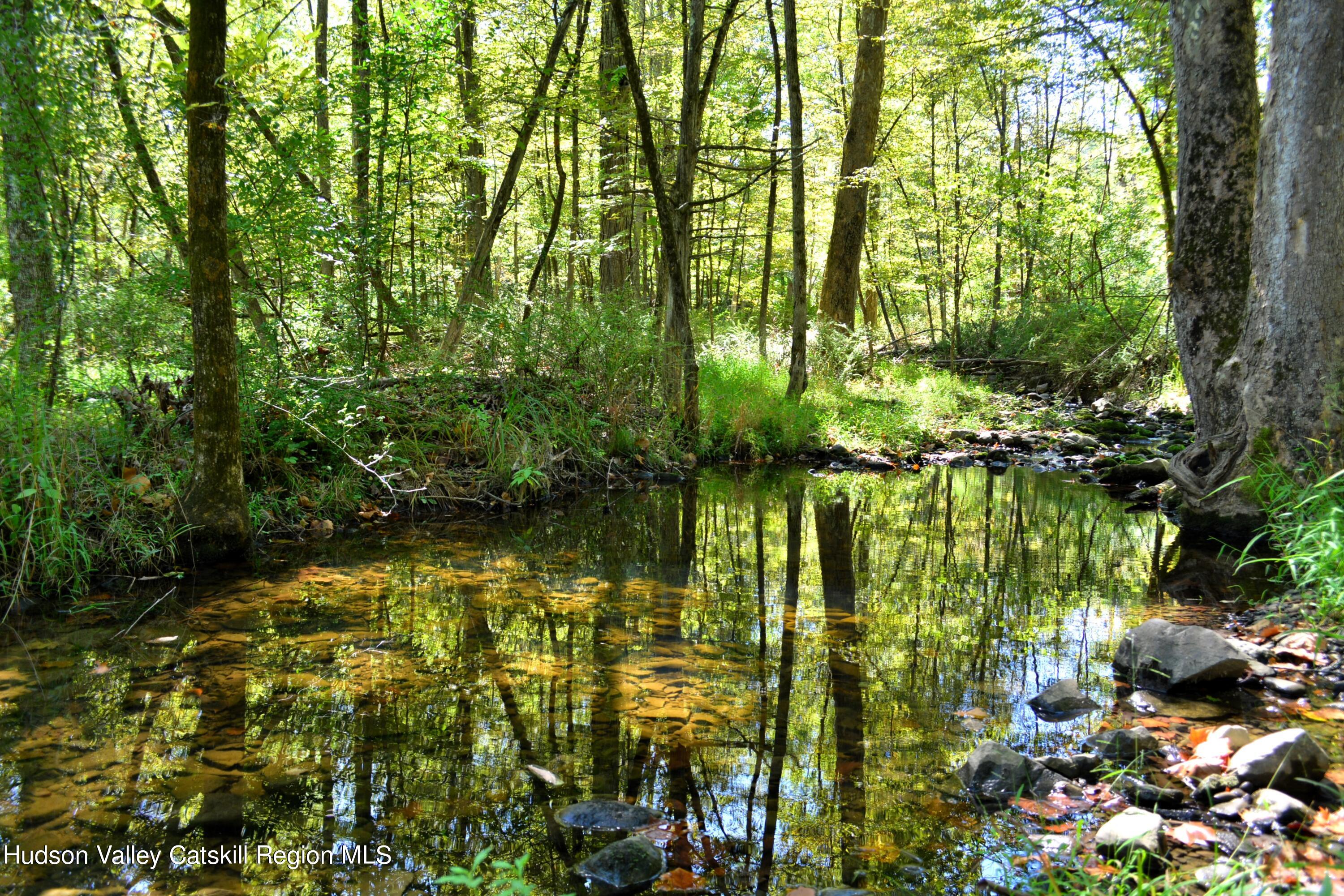 7 Clovewood Road High Falls, NY 12440 - Photo 3 of 41 a view of lake from a lake