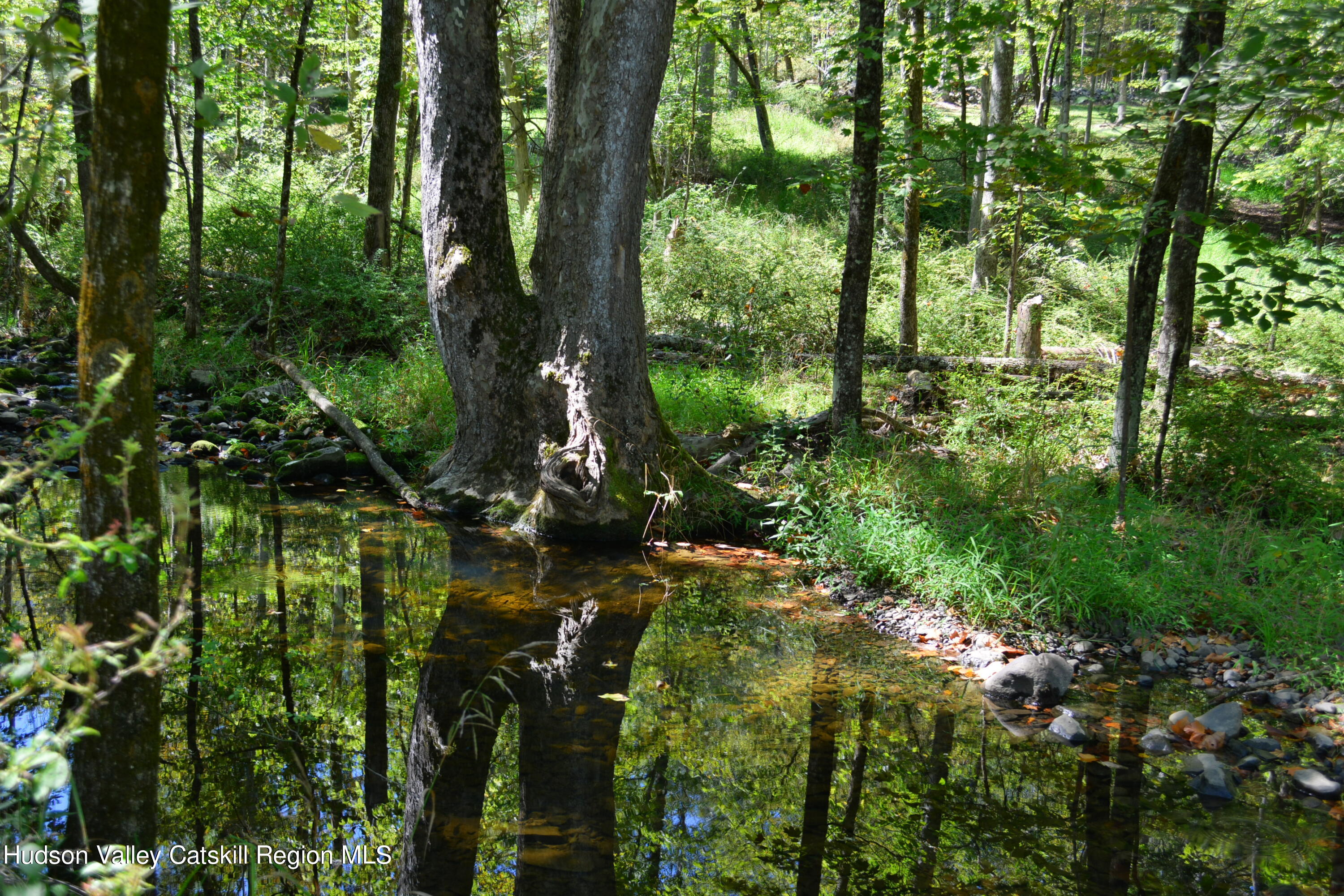 7 Clovewood Road High Falls, NY 12440 - Photo 38 of 41 a view of yard